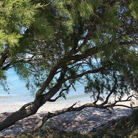 Theológos Corellia Asterias Beach Hotel المظهر الخارجي الصورة